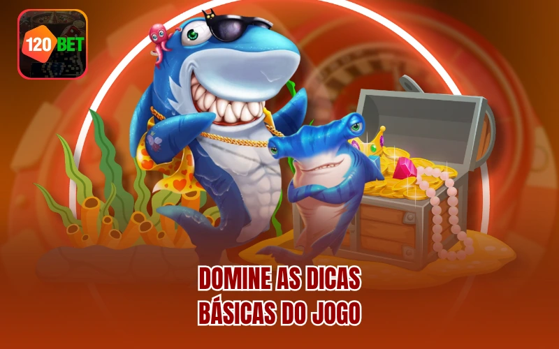 Domine as dicas básicas do jogo